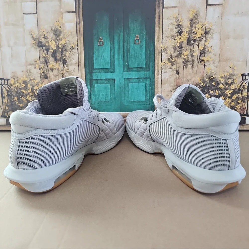 Nike lebron witness